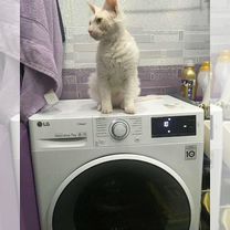 Ремонт стиральных машин, Пенза