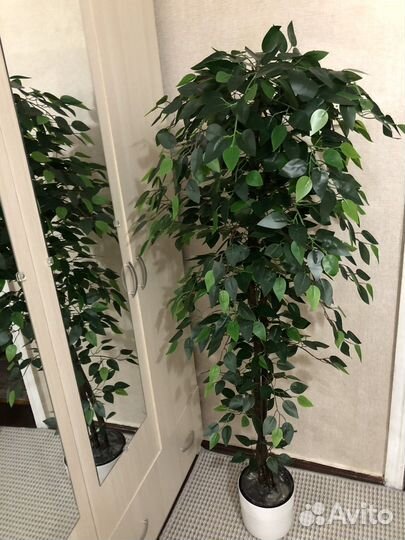 Искусственные растения для декора