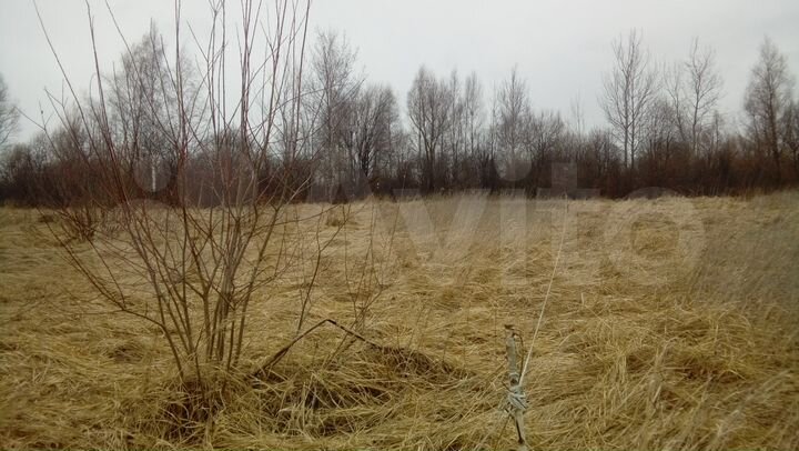 Участок 8 сот. (ИЖС)