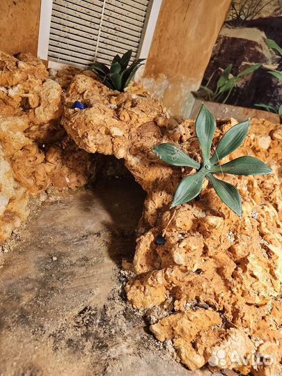 Террариум для ящериц и небольших змей