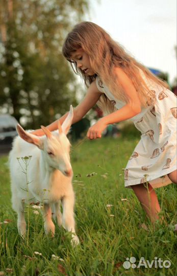 Фотосессия