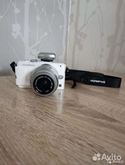 Olympus pen pl6