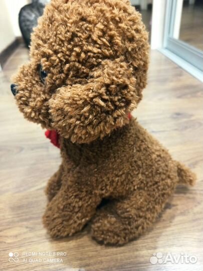 Большая мягкая собака