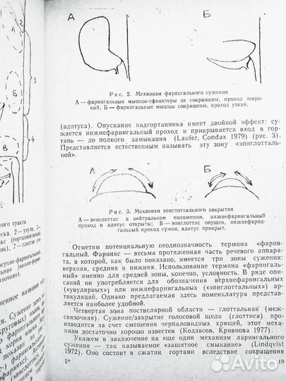 Актуальные проблемы дагестанско-нахского языкознан