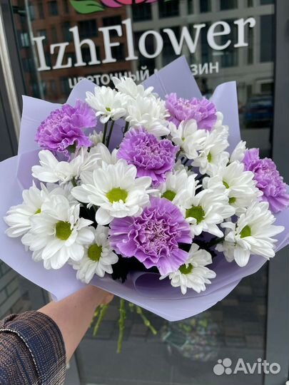 Хризантема кустовая