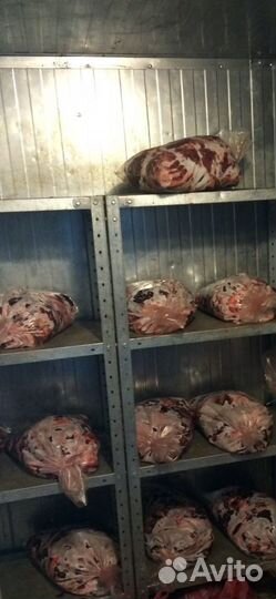 Мясная обрезь с говяжьих голов