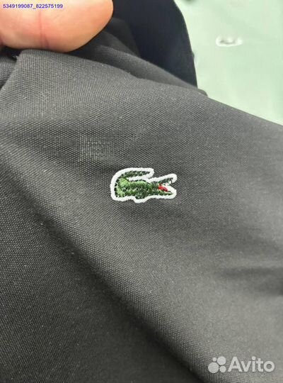 Поло Lacoste