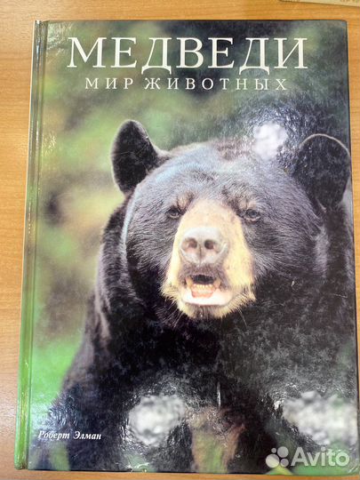 Медведи книга