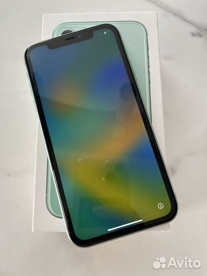 iPhone 11