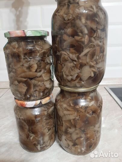 Грибы опята маринованные