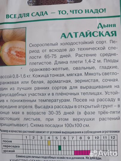 Рассада дынь