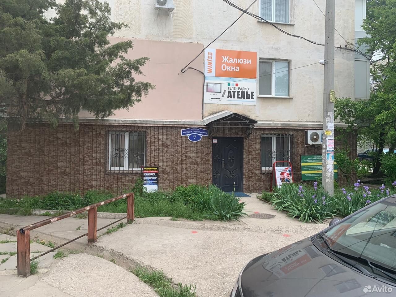 Старые прут молодую