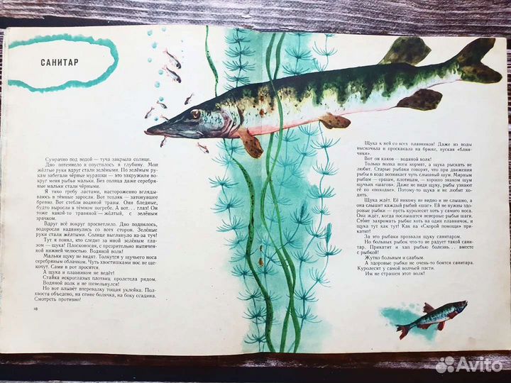 Сладков. В подводном лесу. 1960 г