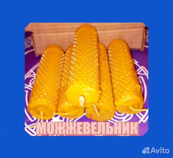 Эзосвеча с можжевельником