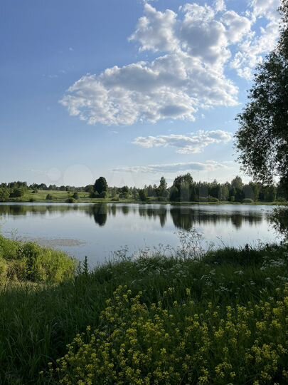 Участок 30 сот. (ИЖС)