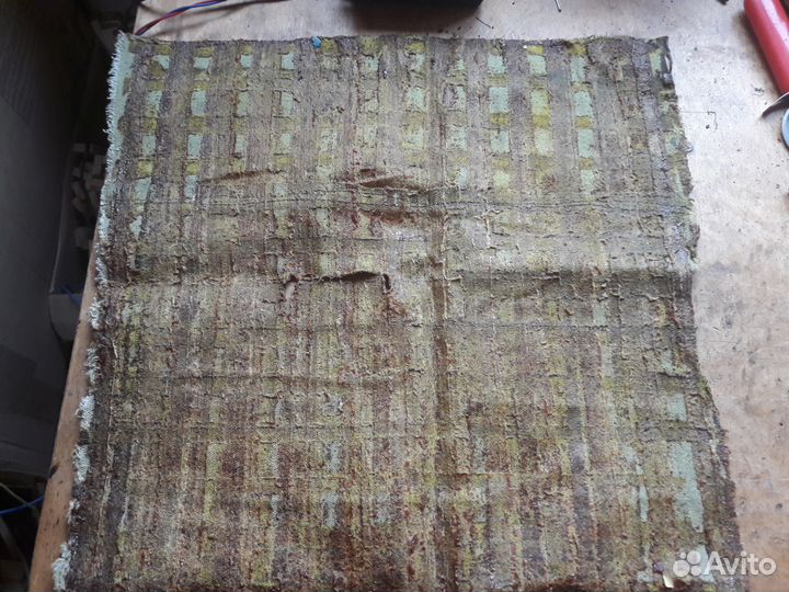 Восковая моль