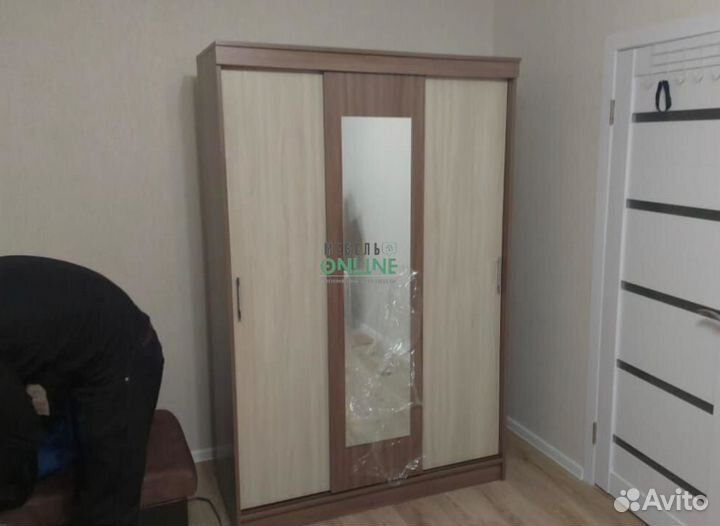 Шкаф купе Бостон/Бася