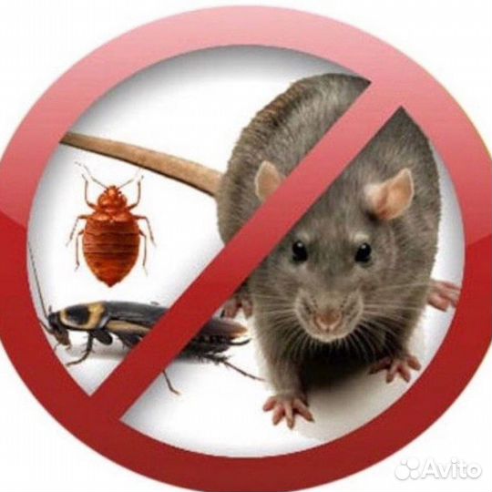 Травля тараканов. Дезинфекция. Обработка от клопов