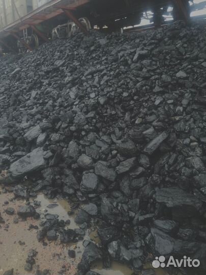 Натуральные дрова: клён, акация и другие породы дерева