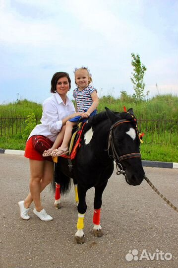 Заказ пони в упряжи или верхом на праздник