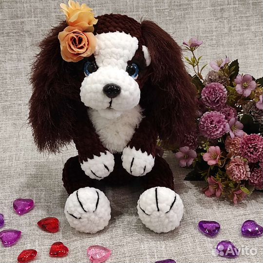 Собачка спаниель