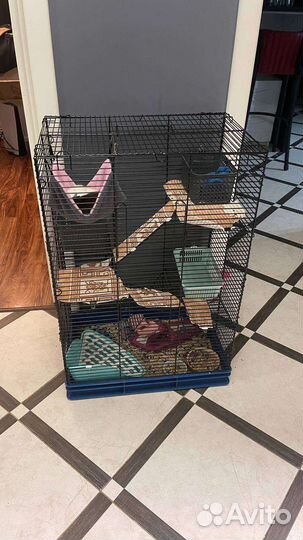 Большая клетка для крыс