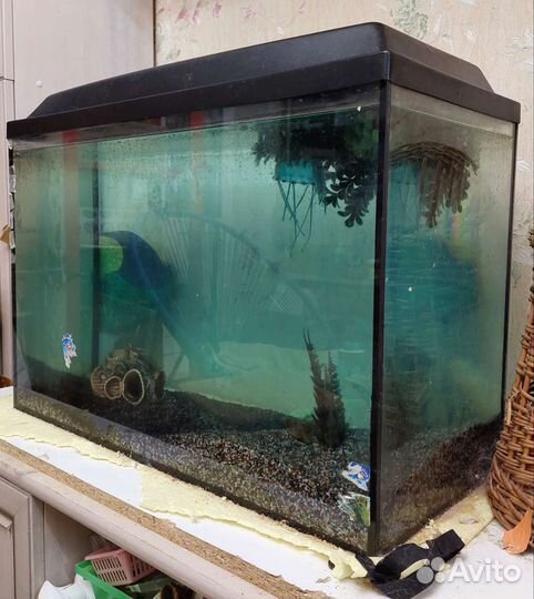 Аквариум