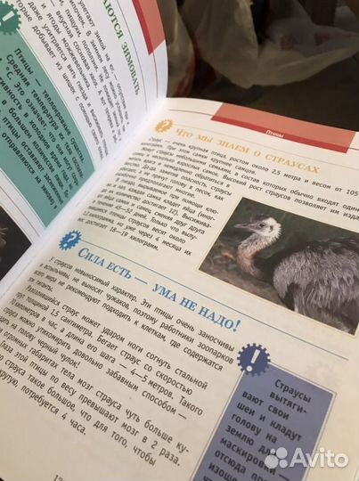 Детская энциклопедия: чтозачем Почему