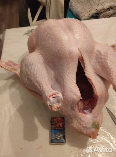 Мясо домашней индейки