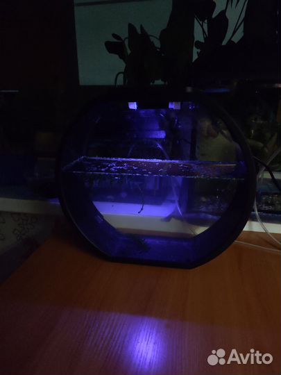 Аквариум