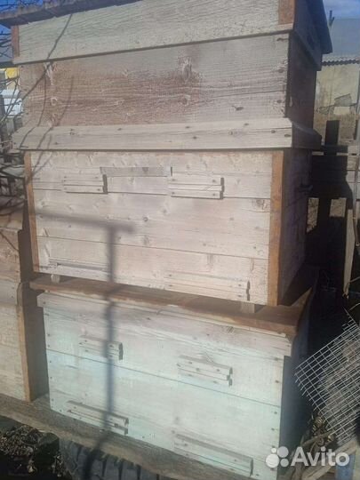 Продам ульи для пчел