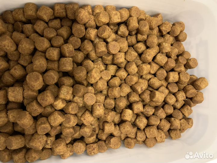 Собачий сухой корм грандорф