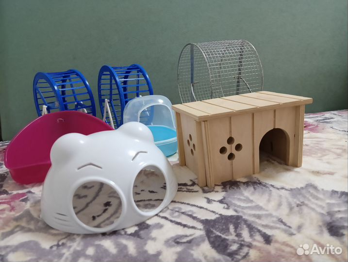 Товары для хомяков