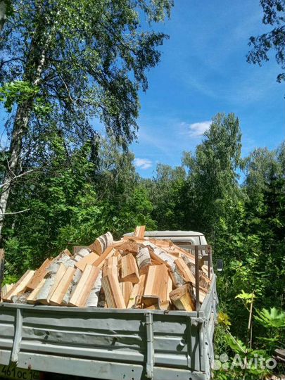 Дрова колотые (берёза, дуб, клён)