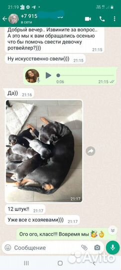 Инструктор по вязке собак Воронеж