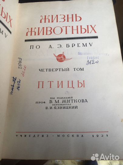 Жизнь животных по Брэму