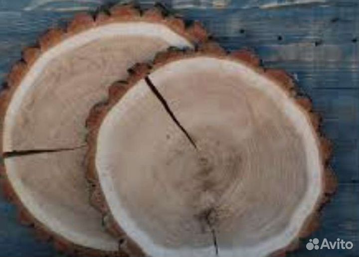 Спилы дерева