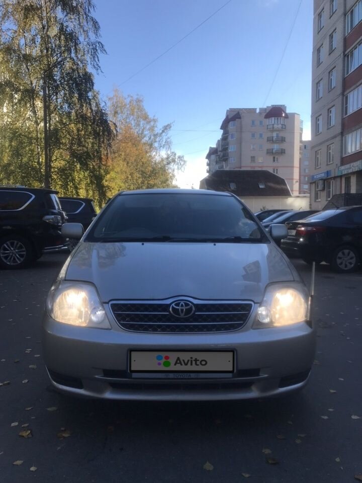 Toyota Corolla: фото владельца