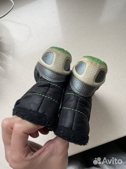 Сапожки ecco biom 23