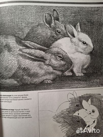 Книга обучение карандашом