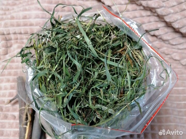 Сено разнотравье для грызунов