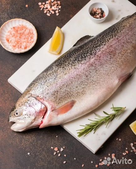 Свежая рыба форель