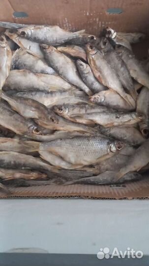 Рыба