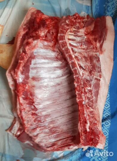 Мясо свинина домашняя