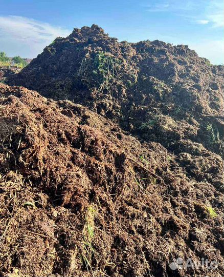 Навоз Перегной в день заказа