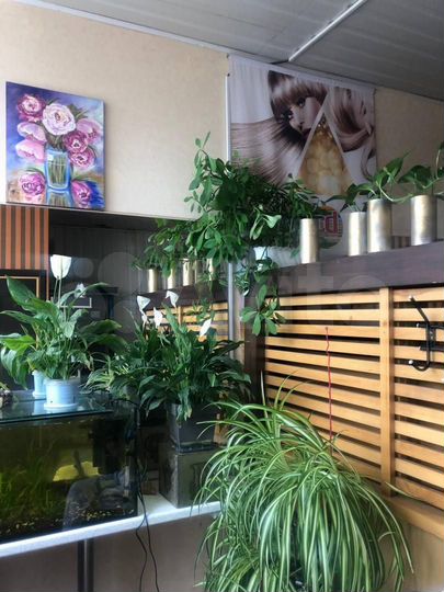 Продам торговое помещение, 350 м²