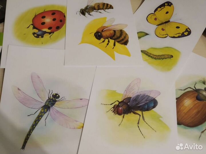 Наглядно-дидактические материалы с конспектами