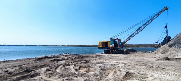 Ракушка кормовая