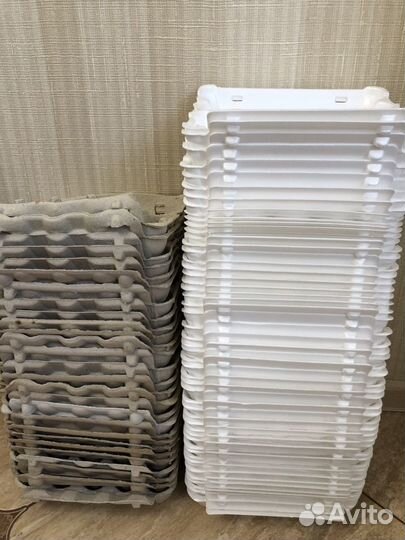 Лотки (ячейки) для яиц