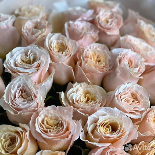 Роскошный букет 35 роз